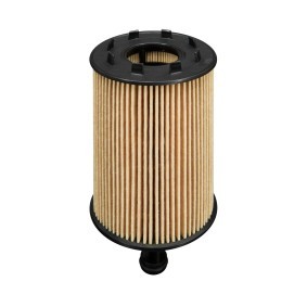 Filtron OE650/1 Yağ Filtresi | VW Golf/Passat/Transporter • Audi A4 • Skoda Fabia • 2.0 TDI / 1.9 TDI ürün görseli
